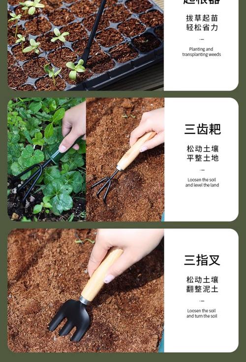 种子搜索利器_种子利器_种子利器下载