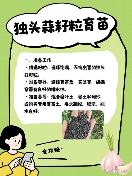 种子利器下载_种子利器_种子搜索利器