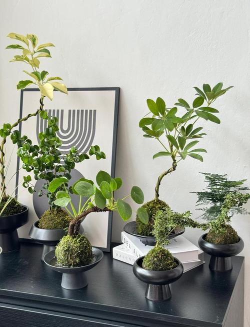 会动的桌面怎么弄_会动的桌面_桌面会动软件叫什么