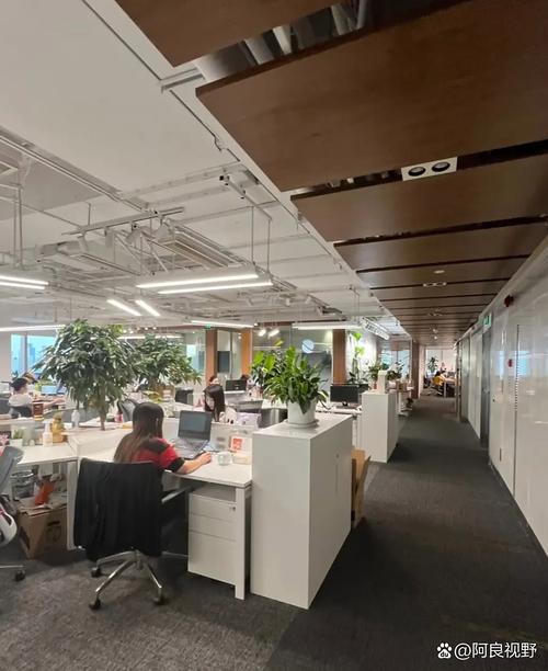 网易大楼爆炸_网易大楼_网易大楼阳性