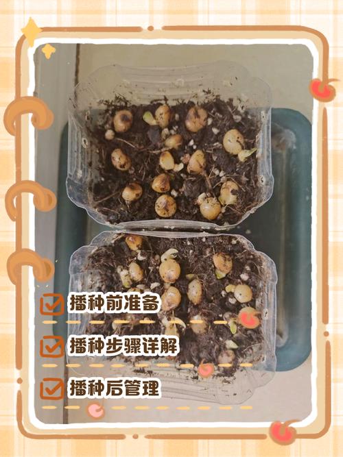 种子搜索利器_种子利器下载_种子利器