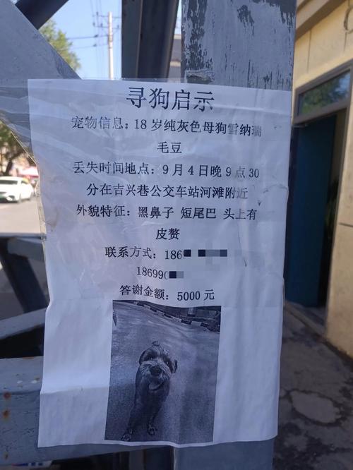 重金悬赏寻狗后反悔不给钱 邻居纷纷退群 信用清零