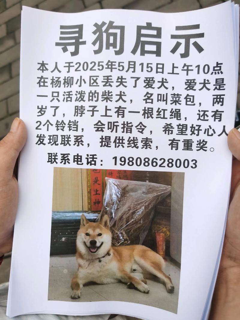 重金悬赏_重金悬赏_重金悬赏