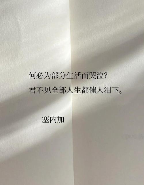 天城泪_天城泪_天城泪