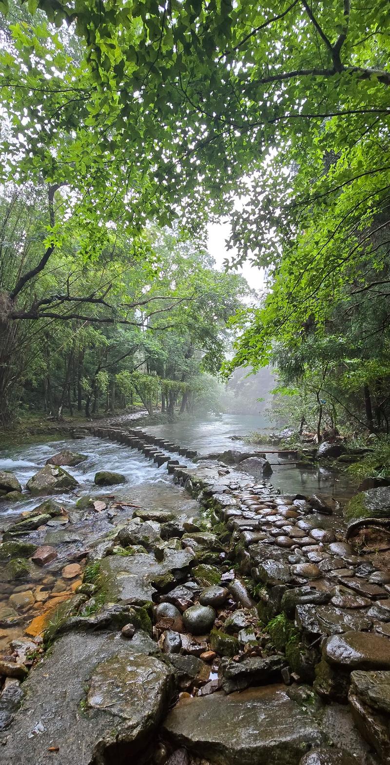 空山鸟语第二集：比第一声更动人的自然交响曲