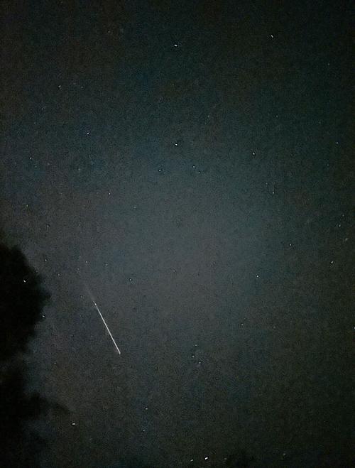 流星雨月季_流星雨月季与黑巴克月季区别_10月9日流星雨