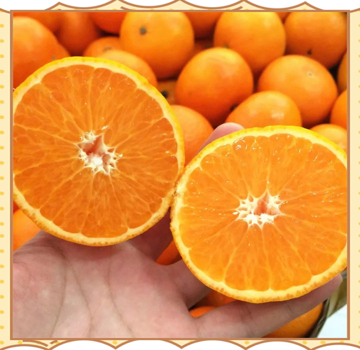 黄岩蜜橘可以做陈皮吗_黄岩蜜橘什么时候上市_黄岩蜜橘