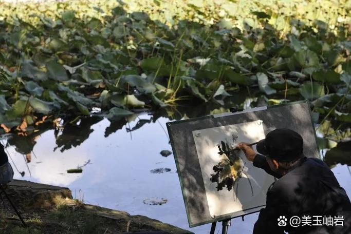 西湖秋英_西湖秋泛的译文_西湖秋日