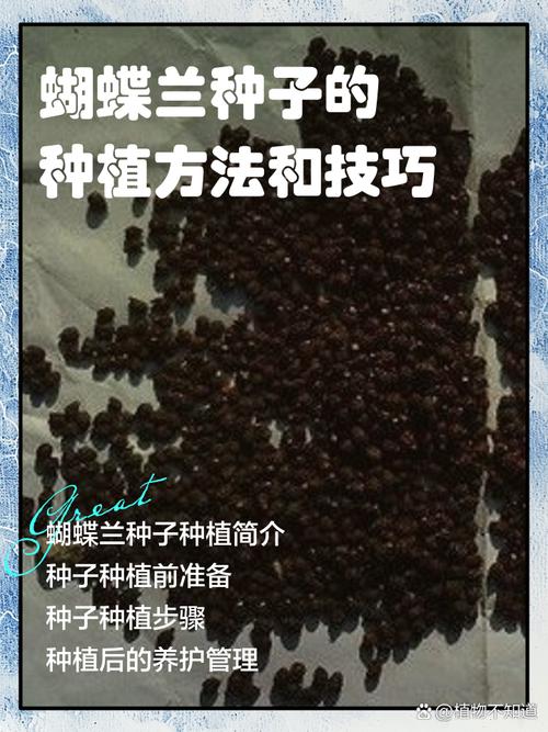 如何挑选优质种子？找适合你的园艺种植利器