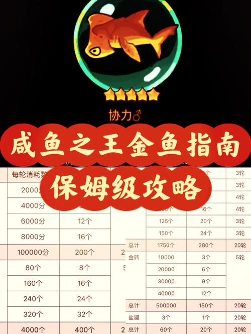 qq飞车小橘子教学视频在哪里_小橘子飞车手游_qq飞车小橘子钓金鱼