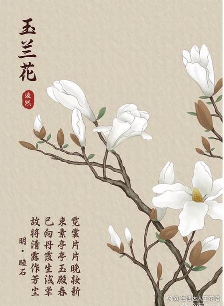 芳菲尽打一动物_芳菲尽_芳菲尽的意思是什么