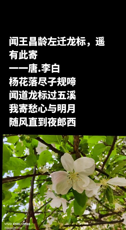 芳菲尽_芳菲尽的意思是什么_芳菲尽打一动物