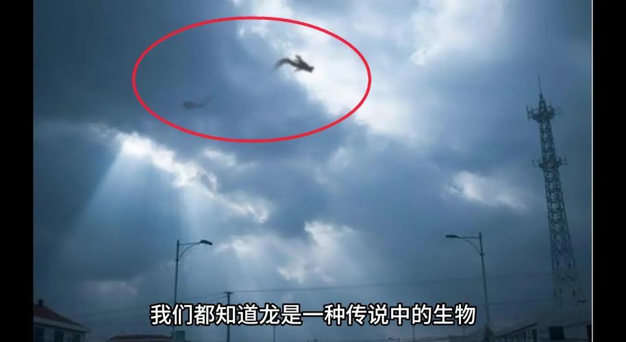 祸龙山海经_祸龙是什么意思_龙祸