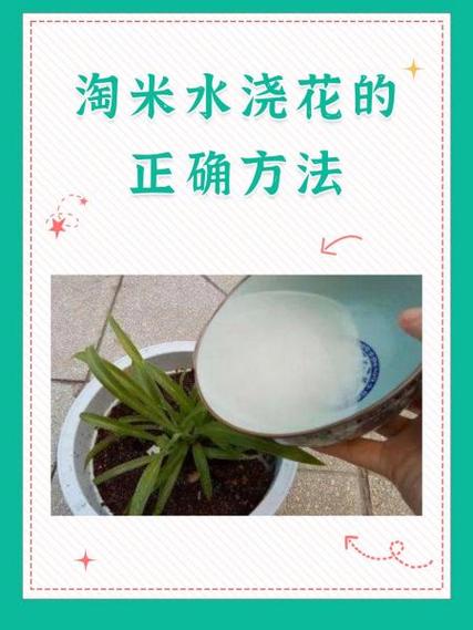 淘米游戏_淘米游戏账号中心_淘米游戏充值中心