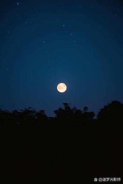 moonglow纯音乐_moonglow_moonglowbay