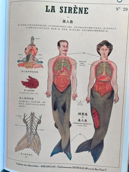 深海妖姬卡西奥佩娅_深海妖姬卡西奥佩娅有特效吗_深海妖姬