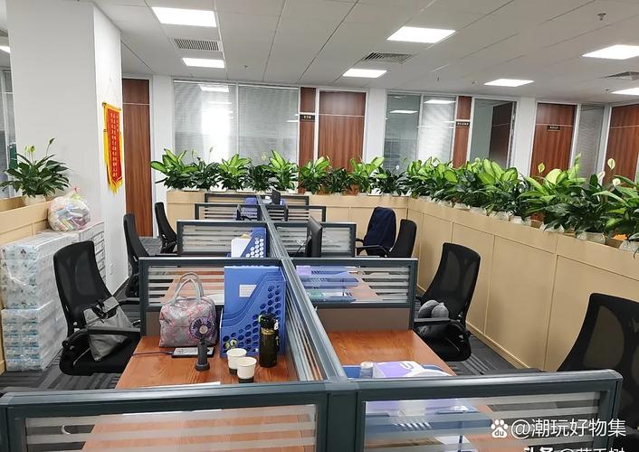 网易大楼_网易大楼阳性_网易大楼爆炸