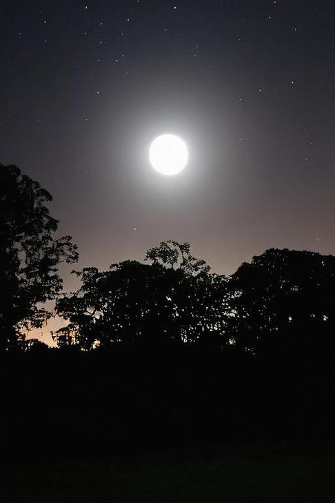 moonglowbay_moonglow_moonglow纯音乐