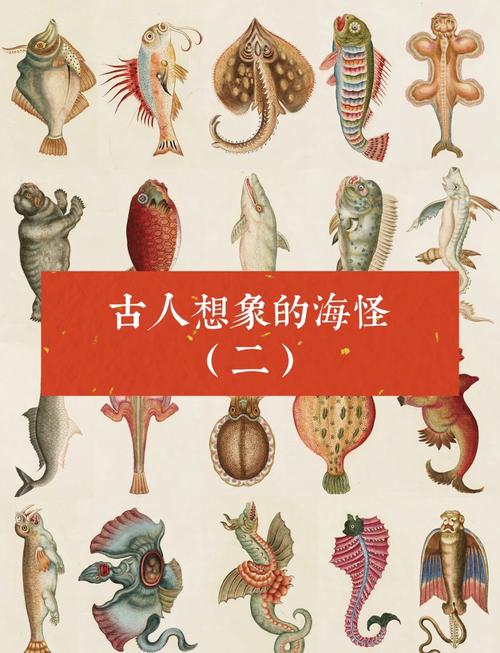 深海妖姬卡西奥佩娅_深海妖姬卡西奥佩娅有特效吗_深海妖姬