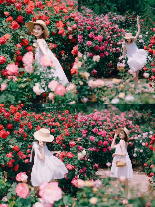 浪漫花房的花卖不出去_浪漫花房怎么玩_浪漫花屋花店怎么样