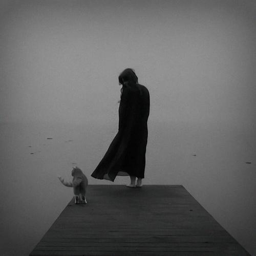 孤独是最高级的自由_又不是这样就不孤独_孤独是什么意思