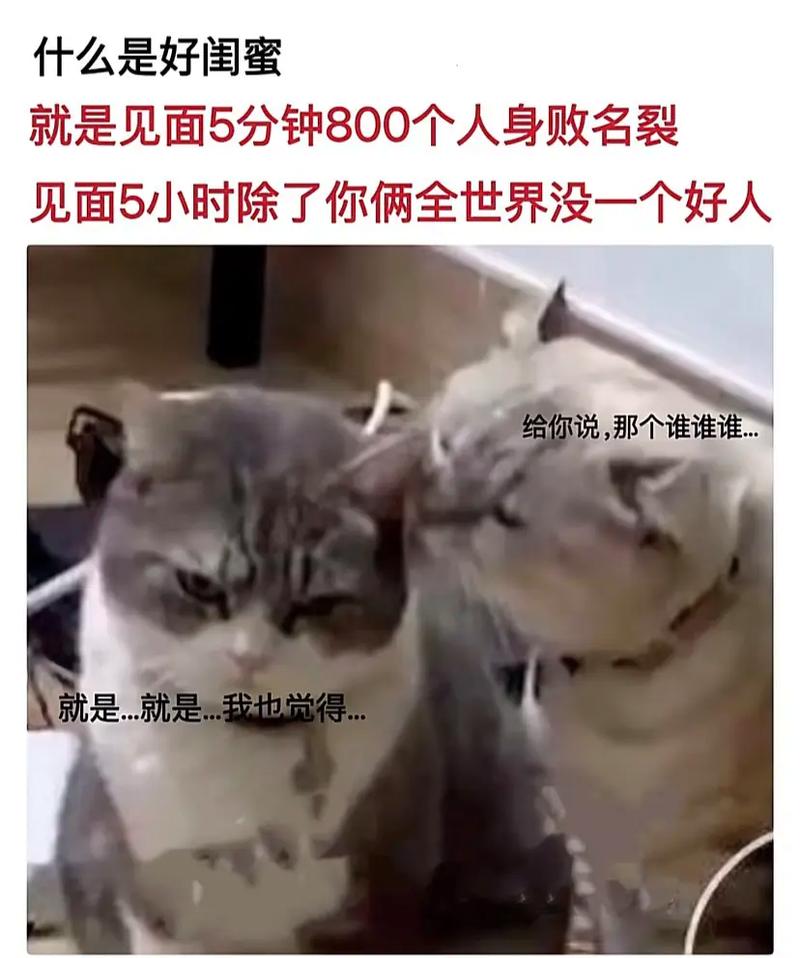 我要写情感另类怎么写视频_猫扑另类情感小说_猫扑另类情感