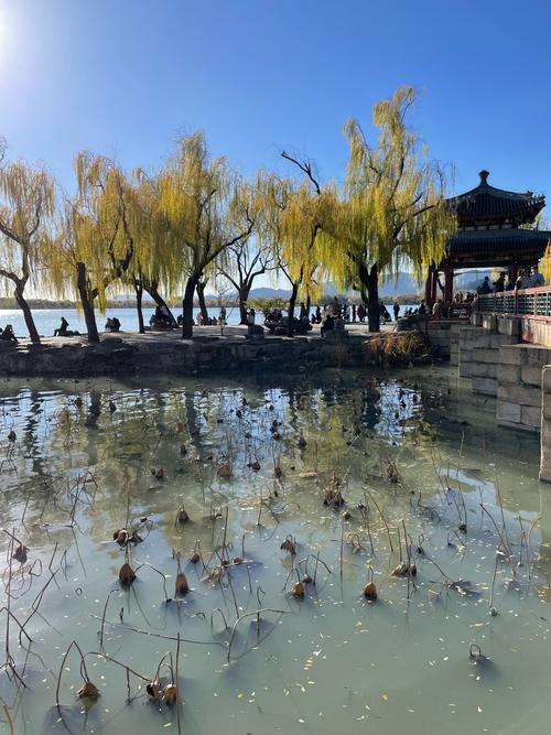 西湖秋英_西湖秋泛的译文_西湖秋日