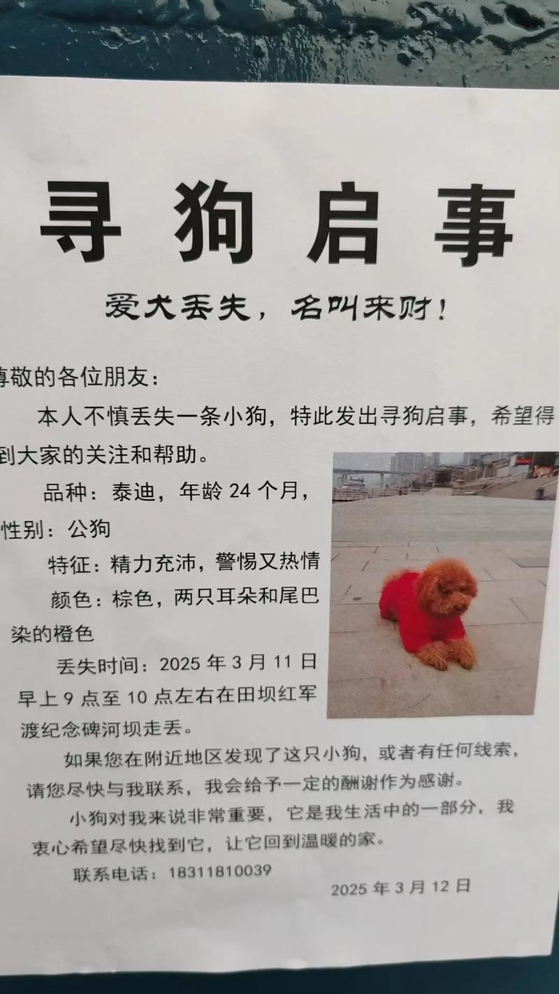 重金悬赏_重金悬赏_重金悬赏