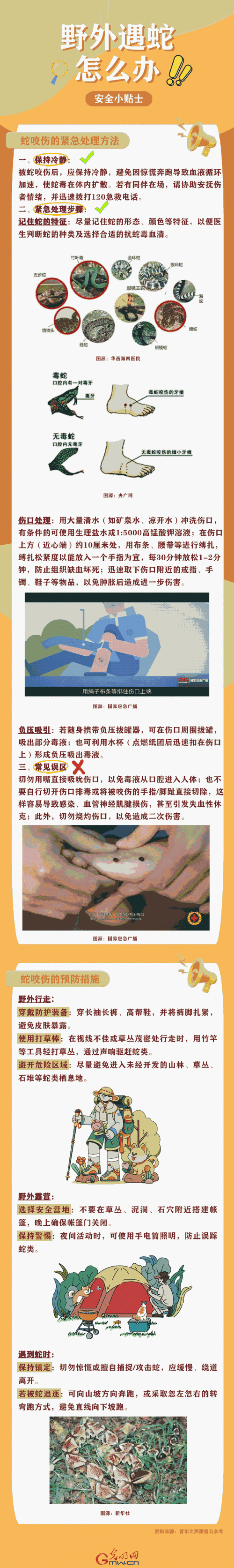 遇到毒蛇风暴怎么办？野外遇到大量毒蛇迁移逃生指南