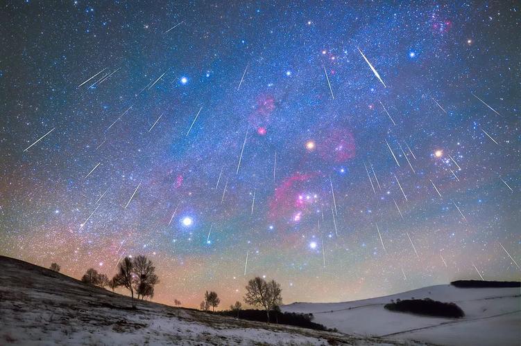 10月9日流星雨_流星雨月季_流星雨月季与黑巴克月季区别