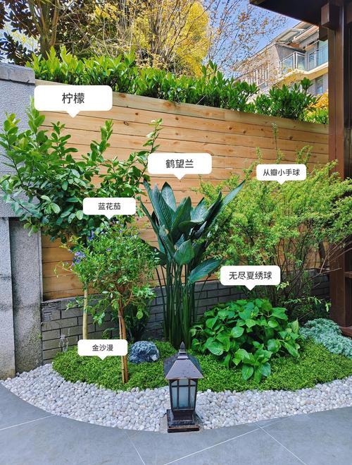 灌木种类大全：庭院绿篱和低维护品种如何选