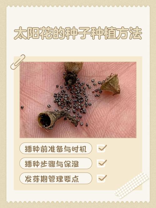 种子搜索利器_种子利器_种子利器下载
