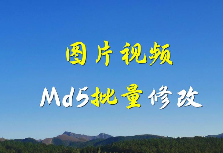 MD5码是什么？数字指纹的由来与局限
