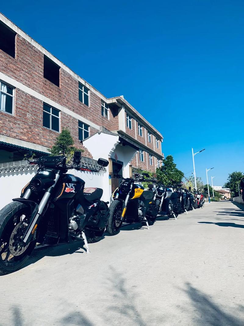 playno1_playno1官方网站_playno1官网网址