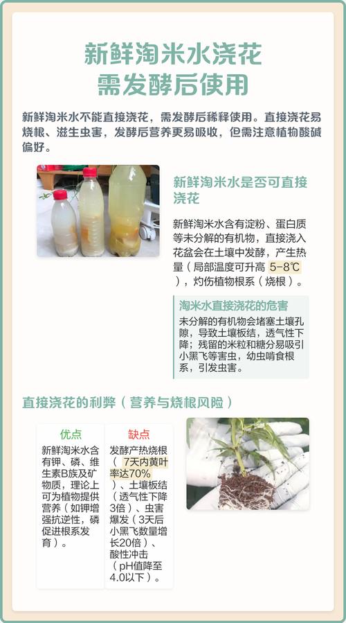 淘米游戏_淘米游戏账号中心_淘米游戏充值中心