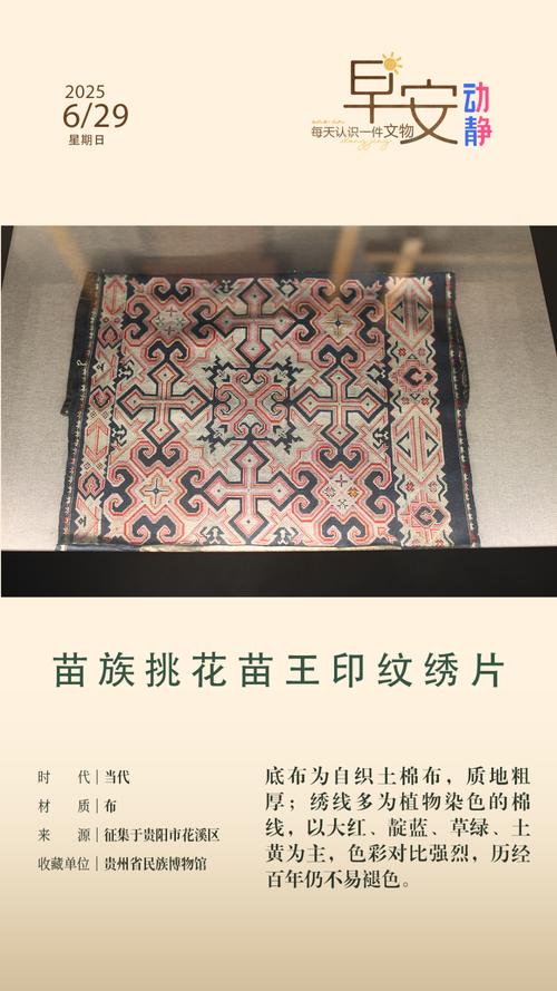 逐花 苗苗王_逐花 苗苗王_王苗苗是谁