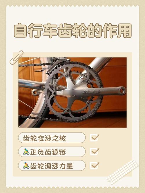 变速齿轮有用吗_变速齿轮使用_变速齿轮怎么用