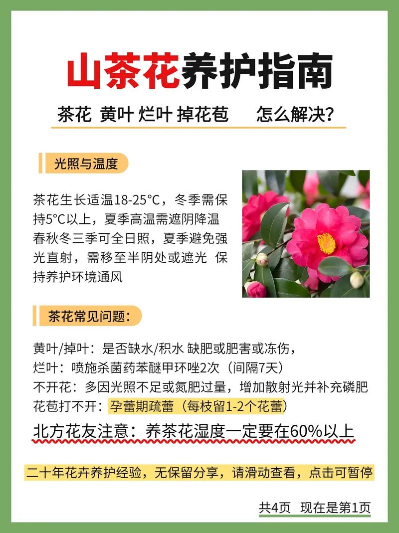 恶魔天龙_天龙人恶魔果实_天龙恶魔猎手