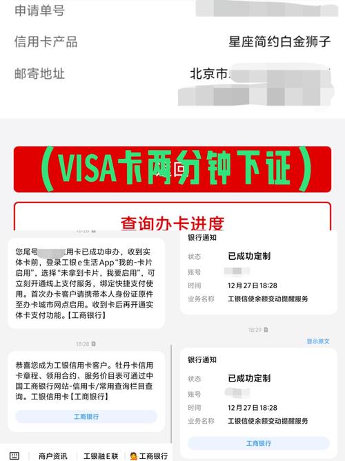 visa白金双币v主_白金双币信用卡_白金visa信用卡