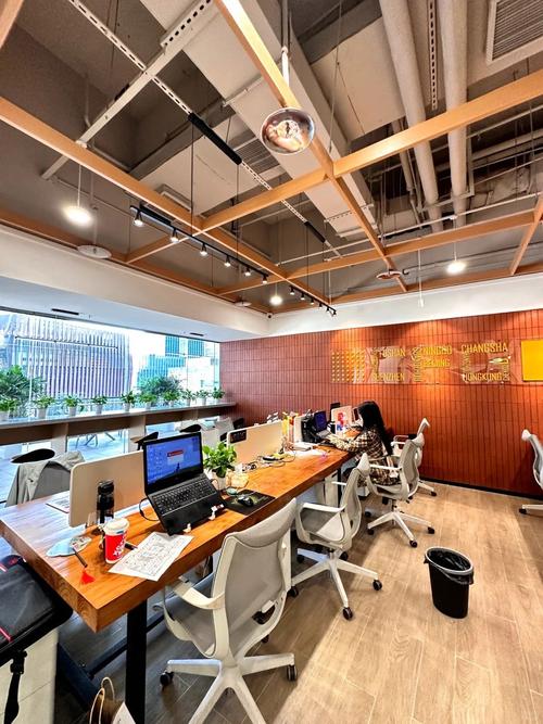 网易大楼内部揭秘：员工分享真实办公环境与企业文化体验