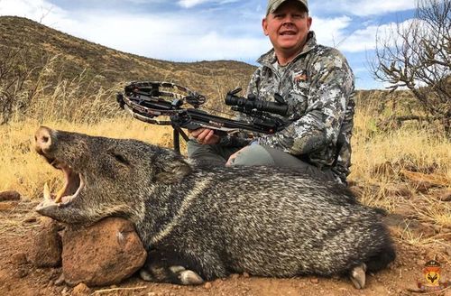 狩猎工具_狩猎工具_狩猎工具