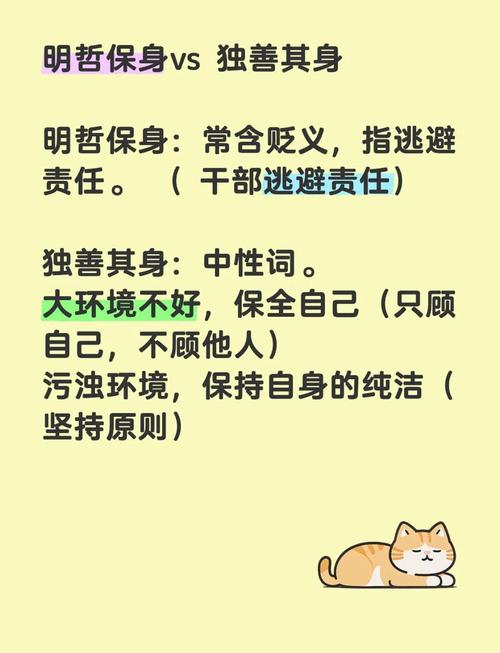 主打一成语_成语打_主打一成语