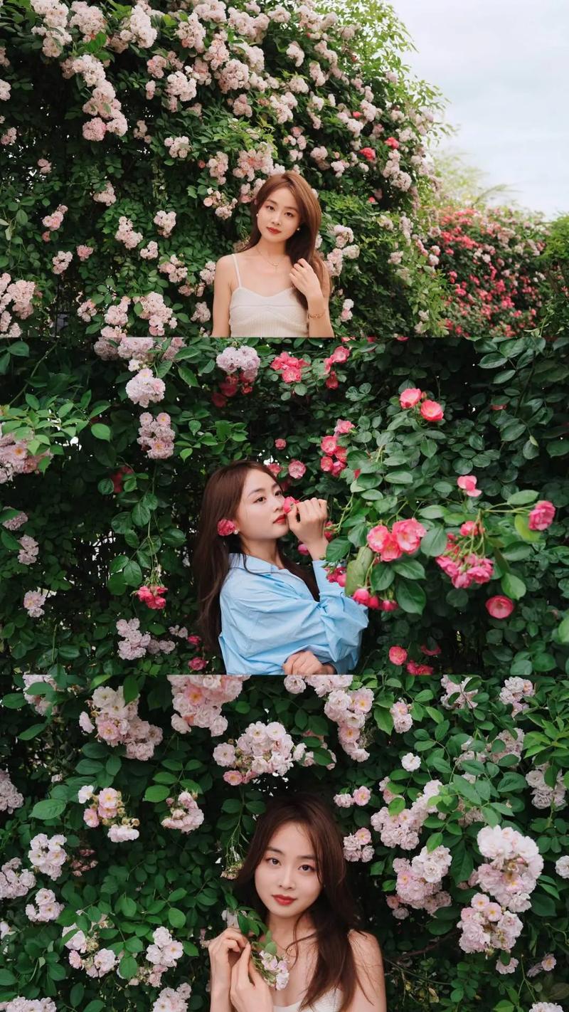 浪漫花房怎么玩_浪漫花屋花店怎么样_浪漫花房的花卖不出去