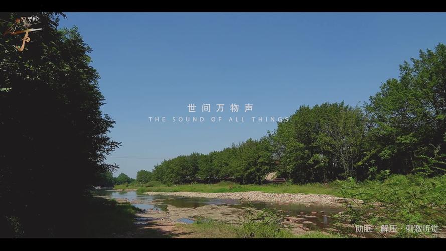 空山鸟语是谁的作品_空山鸟语欣赏_空山鸟语第二集