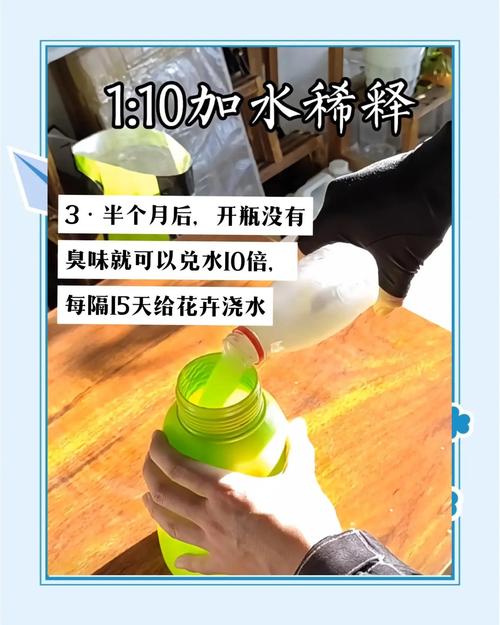 淘米水浇花洗碗的正确方法，发酵技巧和注意事项