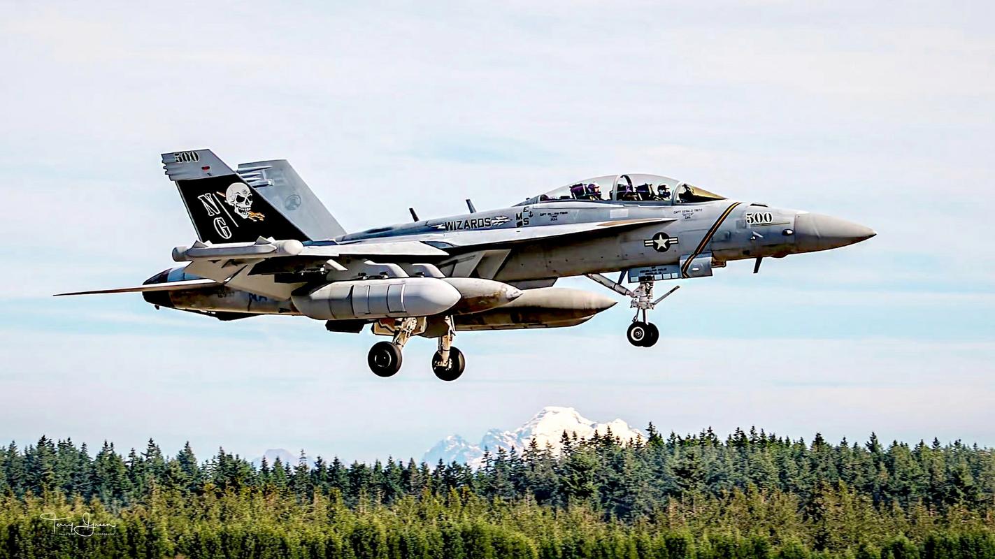 FA18战斗机到底有多强？飞行员亲述：它是海天之间最信赖的伙伴