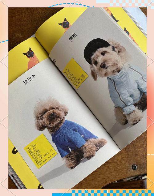 狗狗书籍搜索 抗撕咬互动发声书