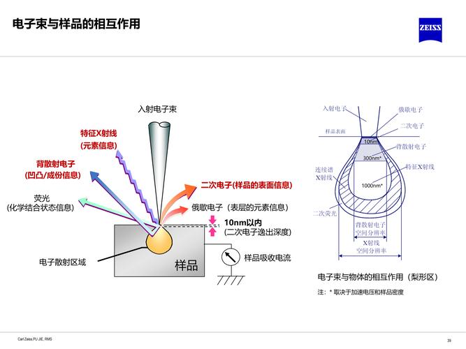 诺志勋电影_诺志勋_诺志勋个人简历