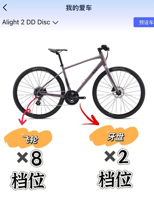 变速齿轮使用_变速齿轮有用吗_变速齿轮怎么用