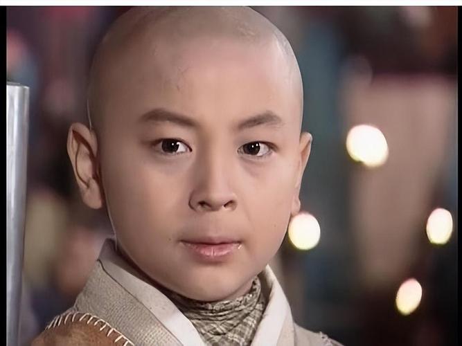 我想看释小龙演的_释小龙连续剧_释小龙演过的电视剧